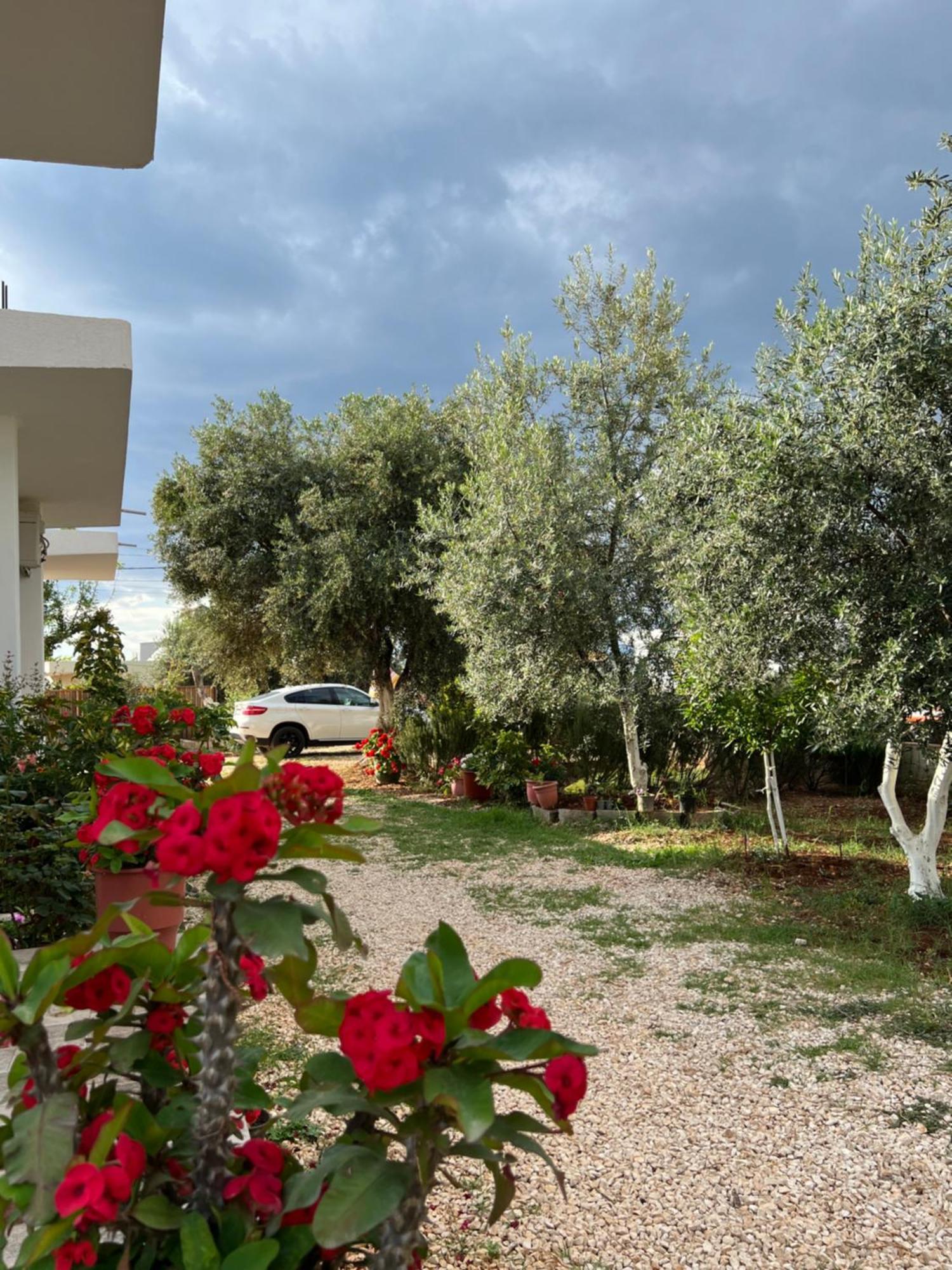 Dea Apartament Ksamil Exterior photo